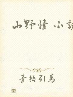 山野情 小说