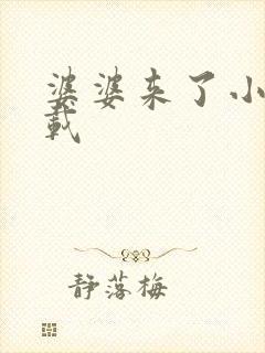 婆婆来了小说下载