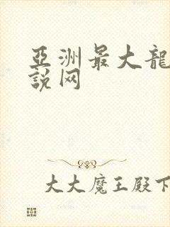 亚洲最大龙腾小说网