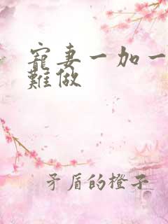 宠妻一加一老婆难做
