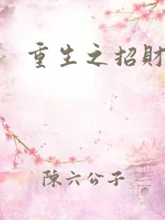 重生之招财进宝