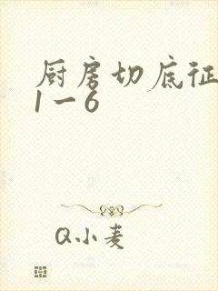 厨房切底征服岳1一6