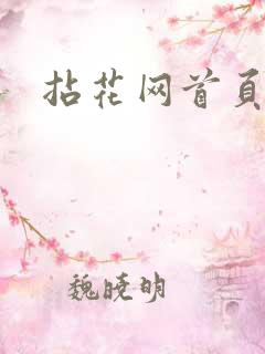 拈花网首页