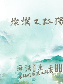 灿烂又孤独的神