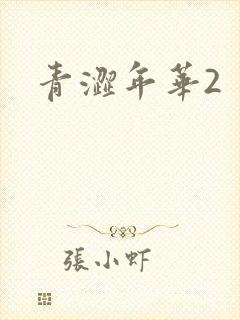 青涩年华2