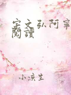 宇文弘阿宁全文阅读