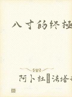 八寸的终极凶器