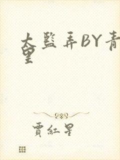 太监弄BY青镜里