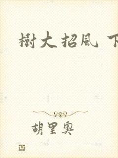 树大招风 下载