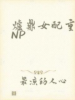 炉鼎女配重生之NP