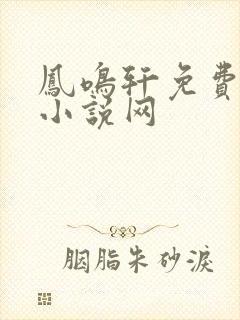 凤鸣轩免费言情小说网