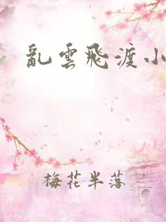 乱云飞渡小说