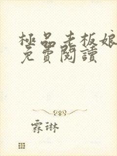 极品老板娘全文免费阅读