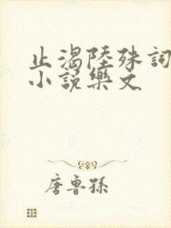 止渴陆殊词陆筝小说乐文