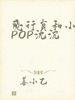 飞行员和小空乘POP沈沉