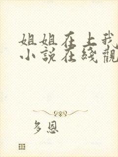 姐姐在上我在下小说在线观看