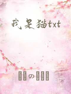 我是猫txt