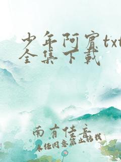 少年阿宾txt全集下载