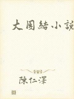 大团结小说下载