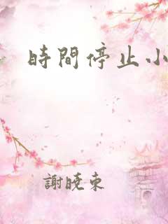 时间停止小说