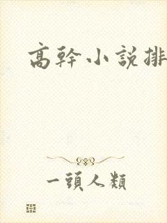 高干小说排行榜