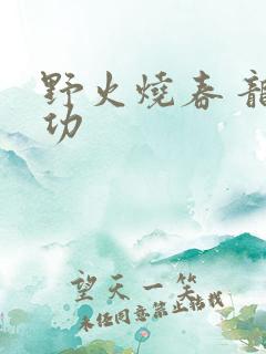 野火烧春 龙鸣功