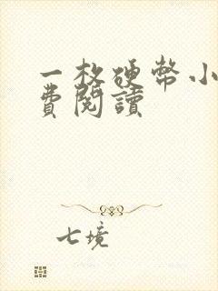 一枚硬币小说免费阅读