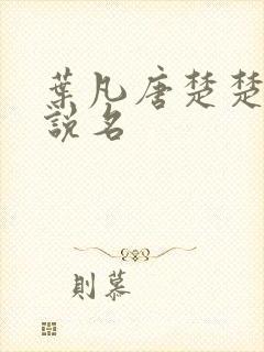 叶凡唐楚楚的小说名