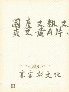 国产又粗又猛又爽又黄A片小说