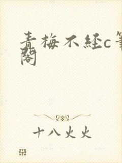 青梅不经c笔趣阁