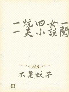 一炕四女一共侍一夫小说阅读