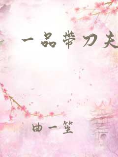 一品带刀夫人