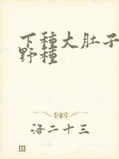 下种大肚子怀孕野种