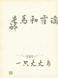 老马和霍瑶瑶喝醉