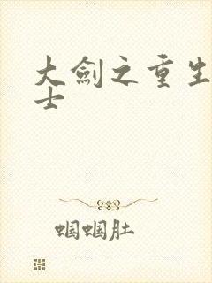 大剑之重生圣骑士