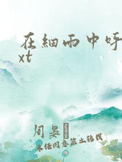 在细雨中呼喊txt