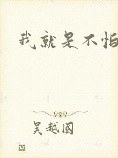 我就是不怕小说