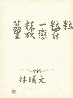 荔枝一粒粒的往里放惩罚