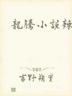 龙腾小说辣文网
