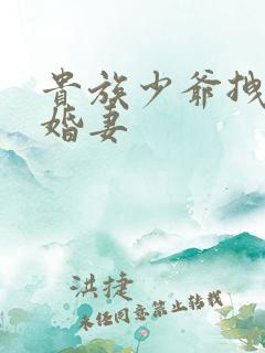 贵族少爷拽拽未婚妻