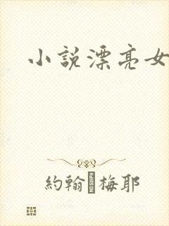 小说漂亮女局长