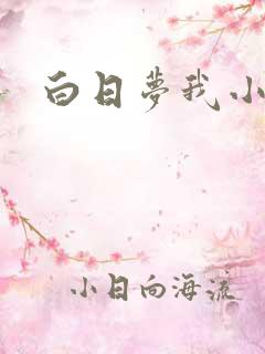 白日梦我小说