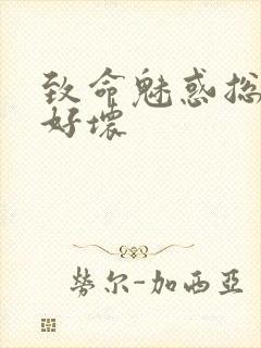 致命魅惑总裁你好坏