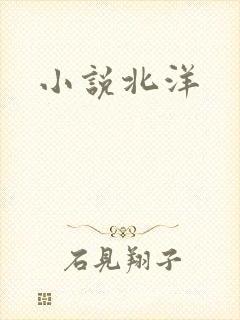 小说北洋