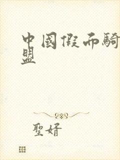 中国假面骑士联盟