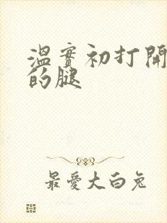 温实初打开眉庄的腿