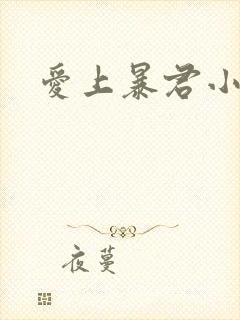 爱上暴君小甜心