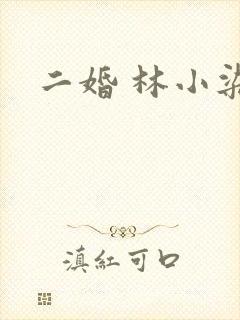 二婚 林小染