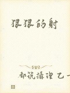 狠狠的射