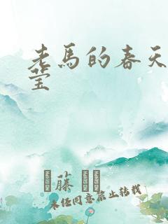 老马的春天王雪莹